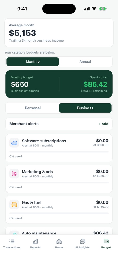 Monthly business budget with merchant alerts